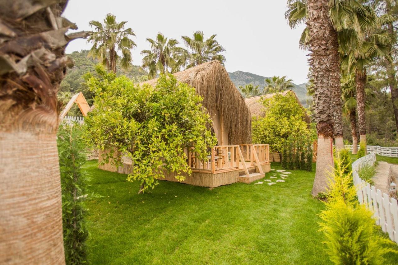 Вилла The Hill Glamping Чирали Экстерьер фото